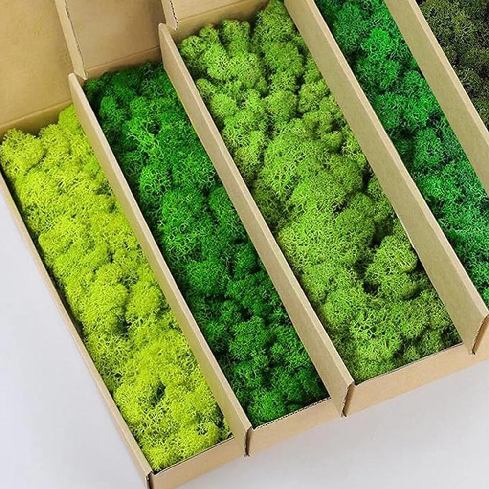 20-200g Artificial Green Plant - đánh giá và giá Terrarium Moss Art