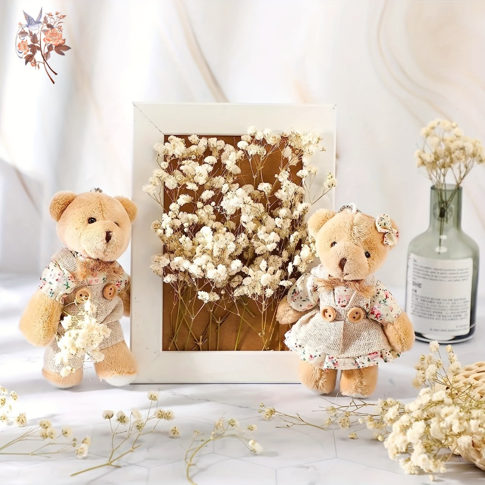 100pcs Mini Dried Baby's Breat - đánh giá và giá Dried Flower Bulk